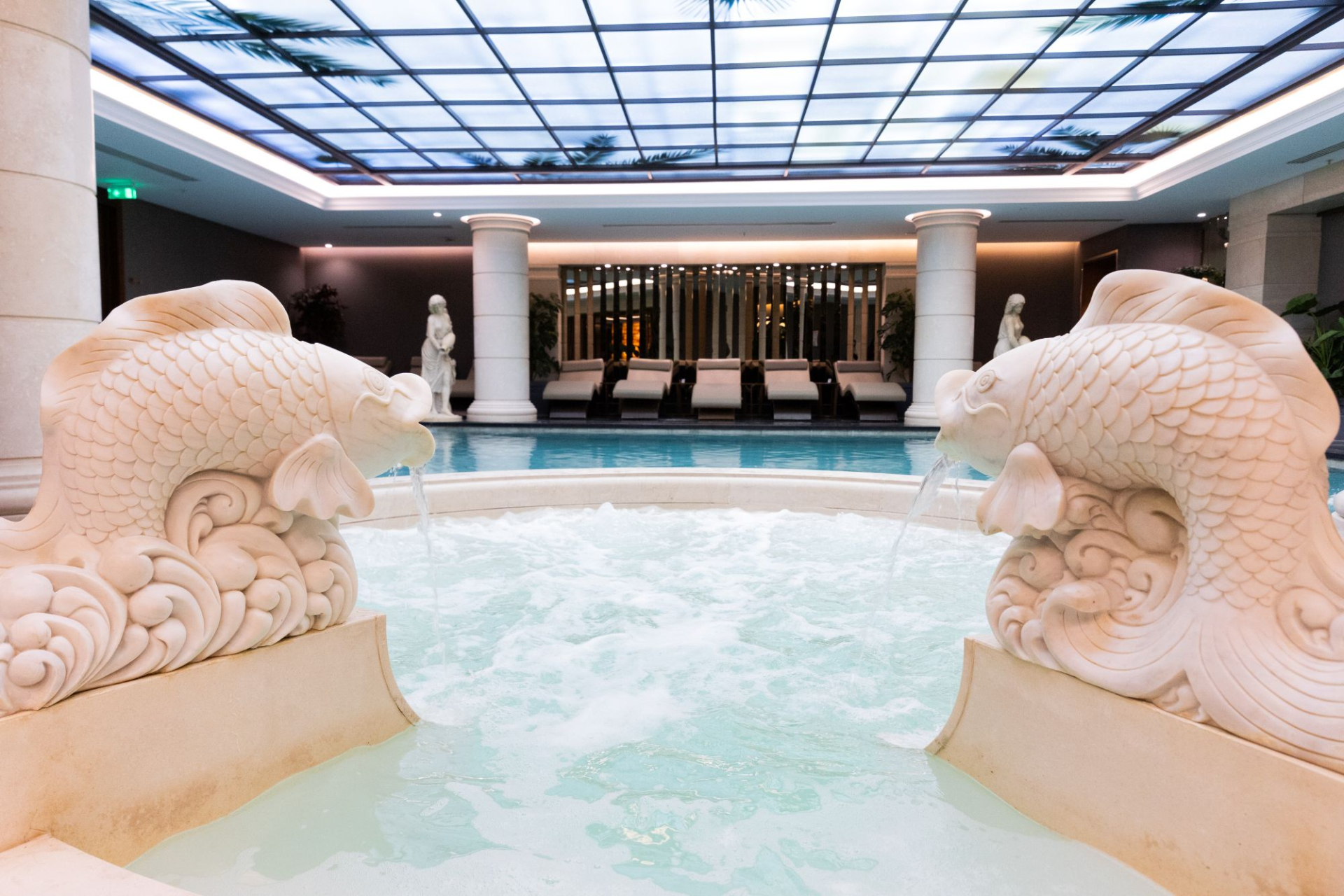 Fitness & SPA
